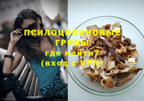 мдпв Заречный