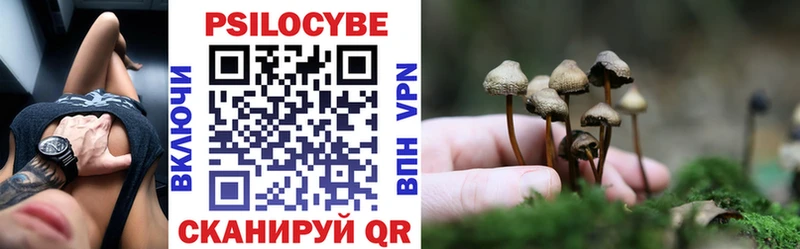 KRAKEN вход  наркота  Иннополис  Псилоцибиновые грибы мухоморы 